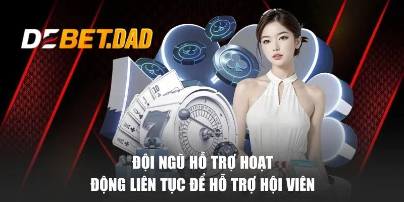 Đội ngũ hỗ trợ hoạt động liên tục để hỗ trợ hội viên